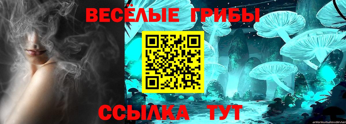 Курчалой  Псилоцибиновые грибы GOLDEN TEACHER  Вход с VPN 